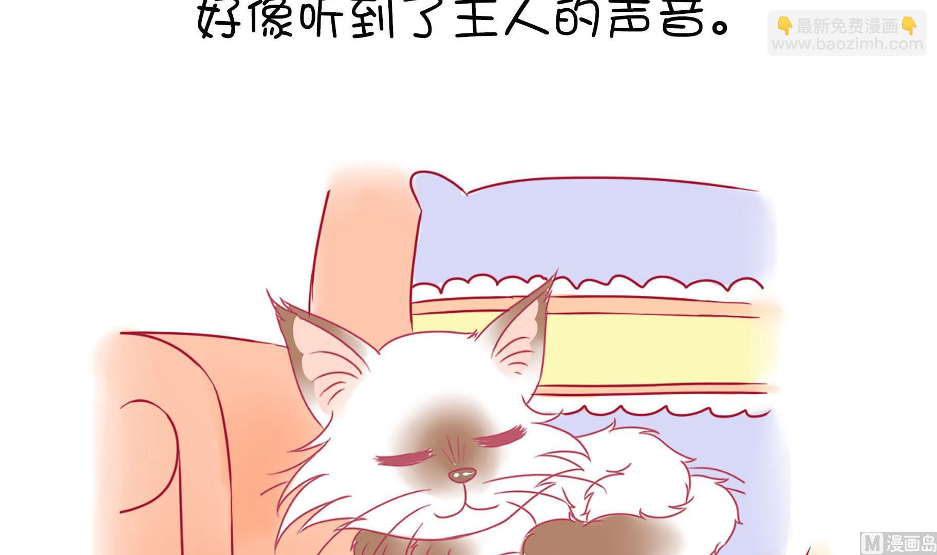 第19话 睡前故事 2-第19话