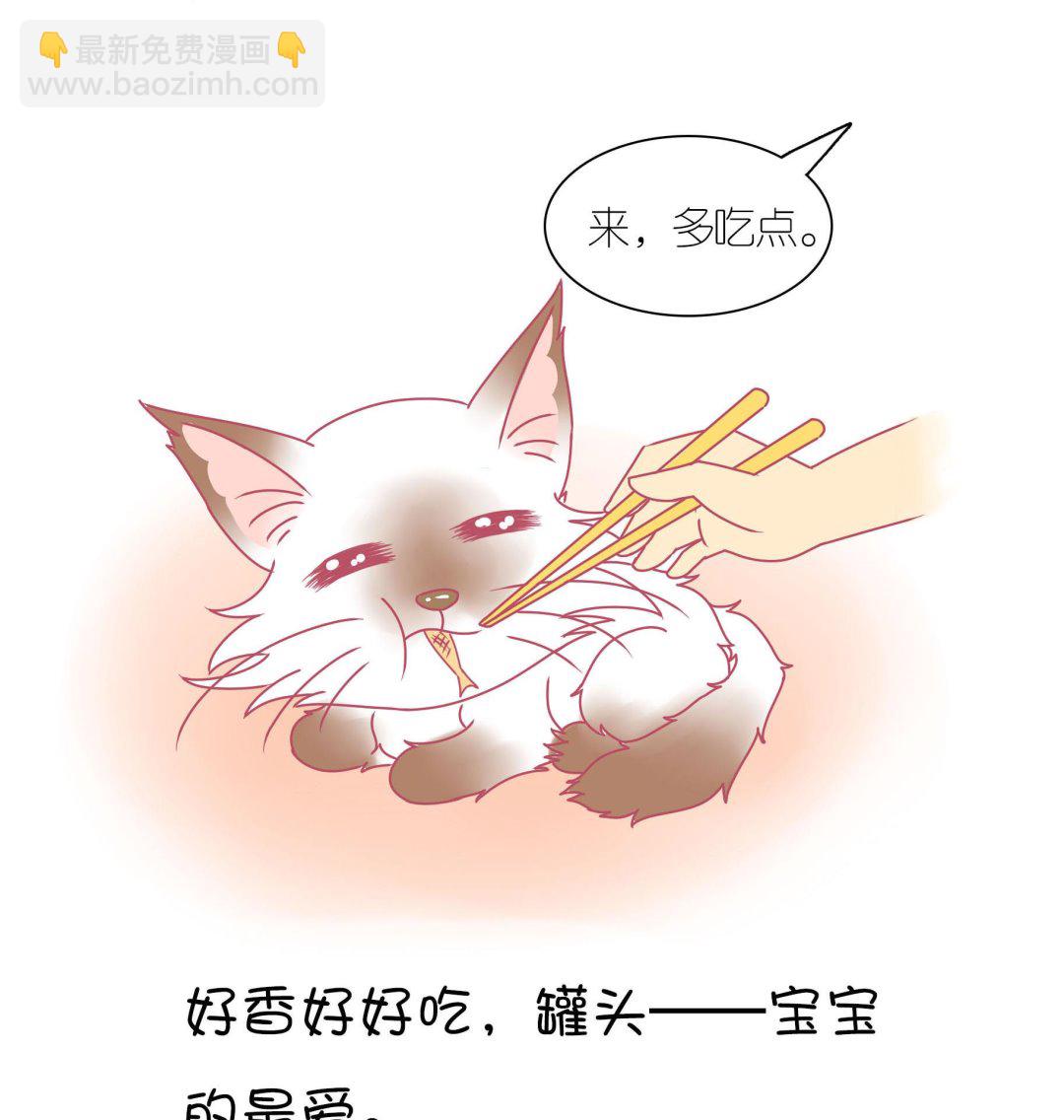 第19话 睡前故事 2-第19话