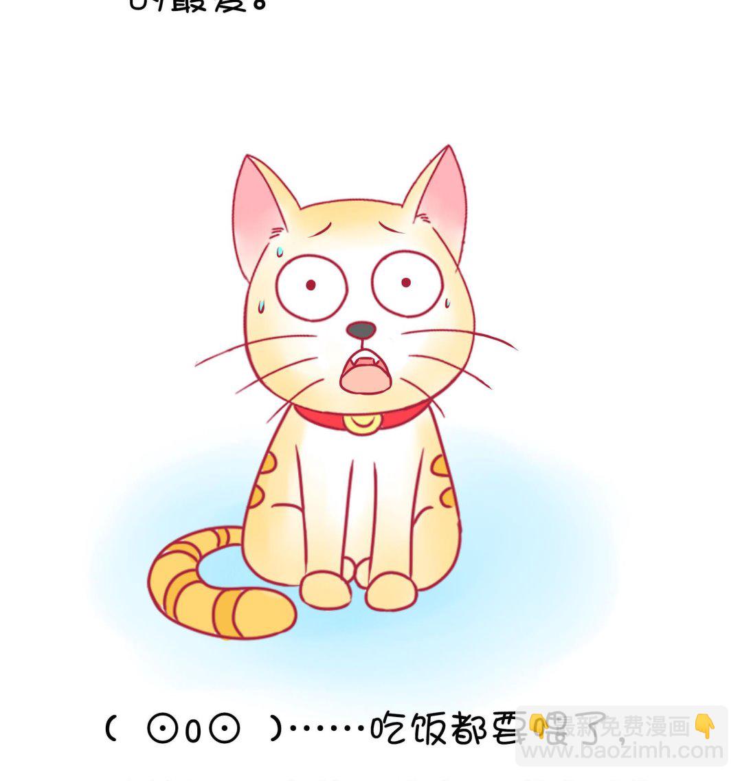 第19话 睡前故事 2-第19话