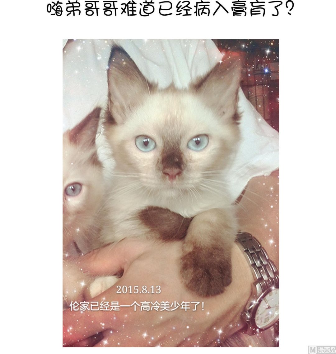 第19话 睡前故事 2-第19话