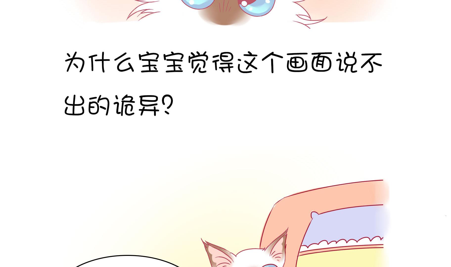 第19话 睡前故事 2-第19话