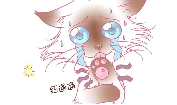 第3话 生病的嗨弟 3-第3话