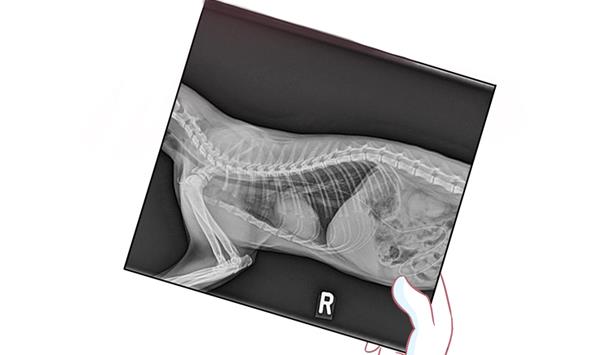 第3话 生病的嗨弟 3-第3话