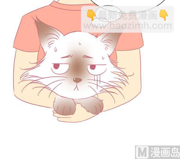 第3话 生病的嗨弟 3-第3话