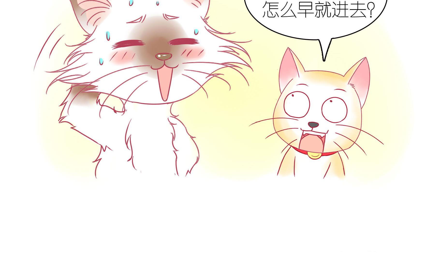 第21话 寿星喵精-第21话