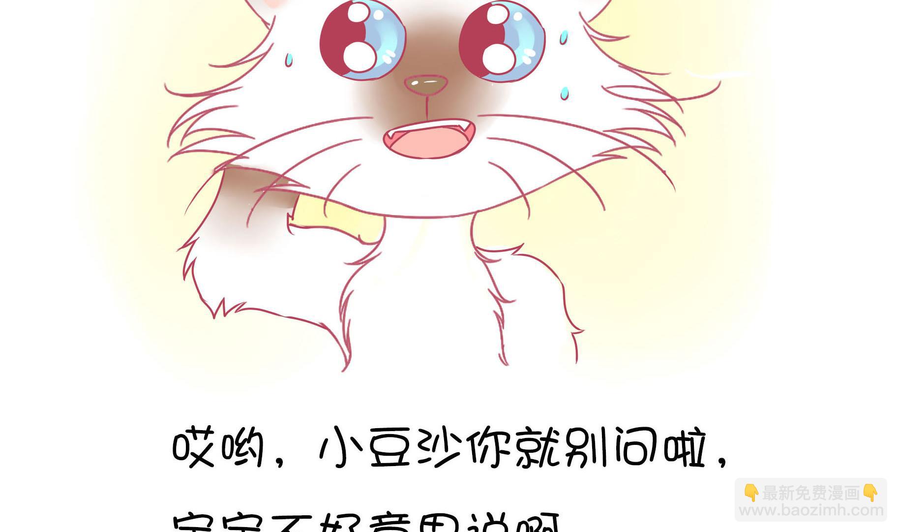 第21话 寿星喵精-第21话