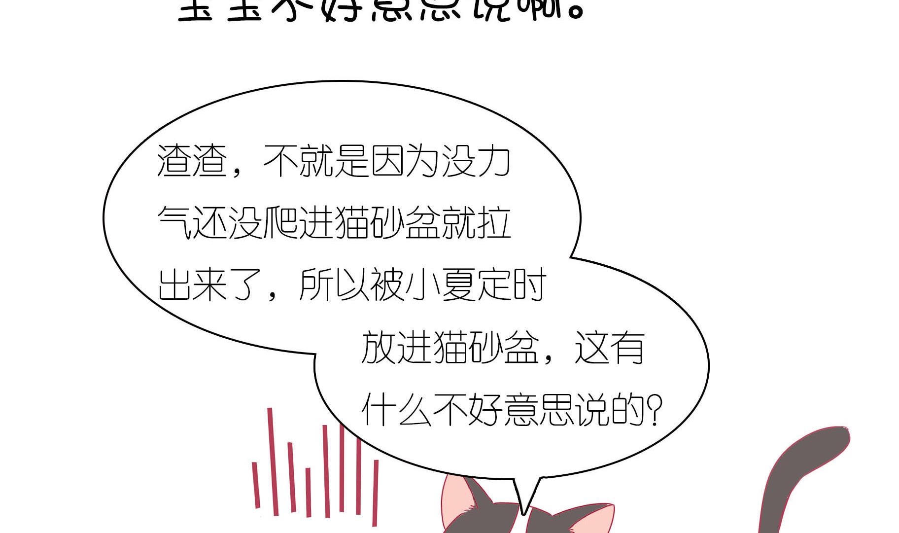 第21话 寿星喵精-第21话