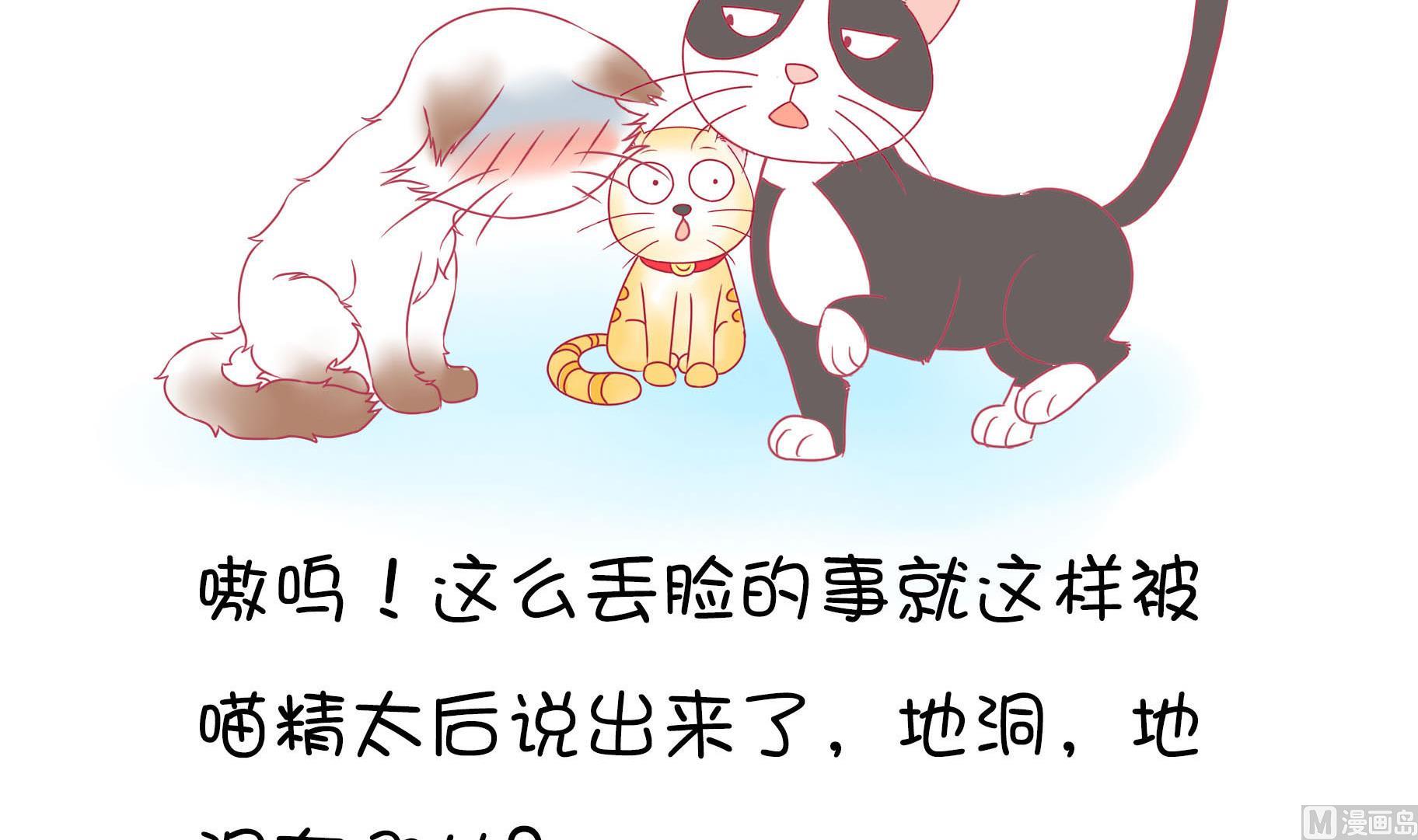 第21话 寿星喵精-第21话