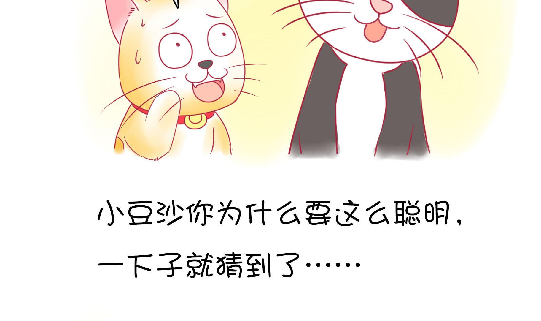 第21话 寿星喵精-第21话