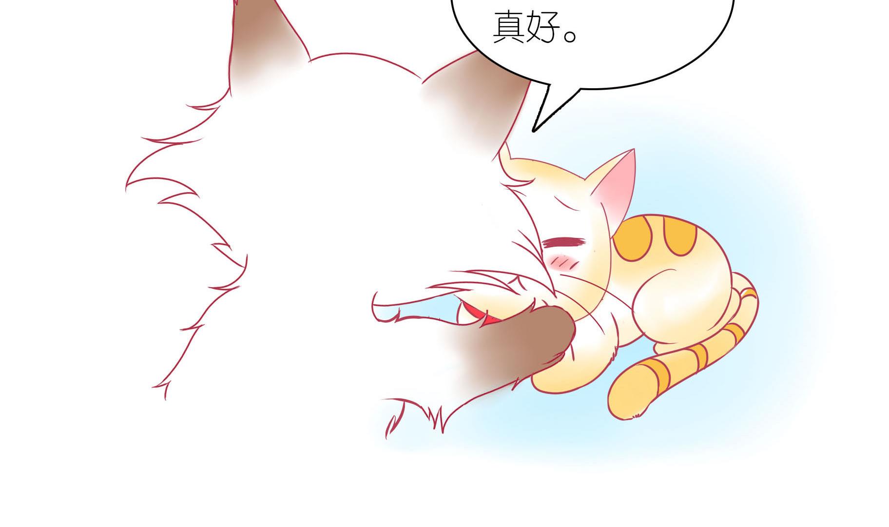 第21话 寿星喵精-第21话