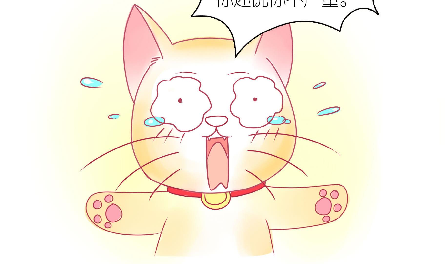 第21话 寿星喵精-第21话