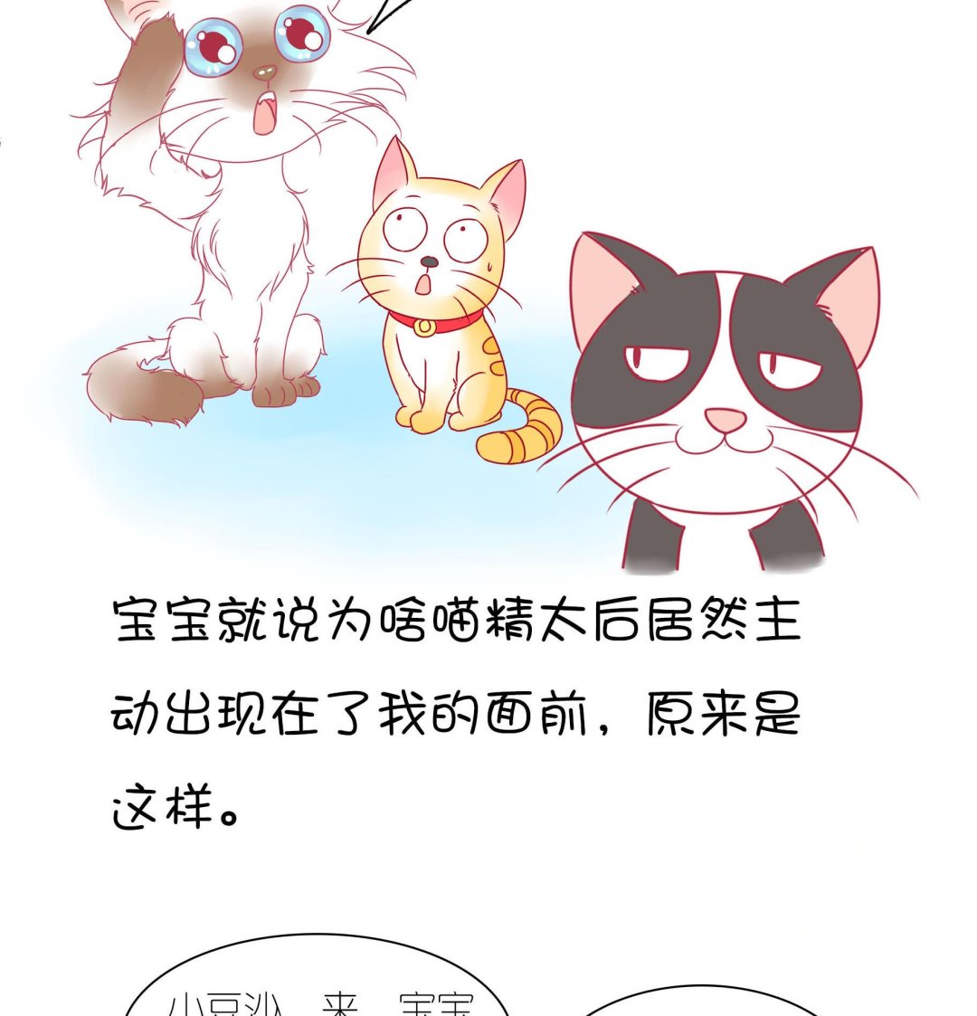 第21话 寿星喵精-第21话