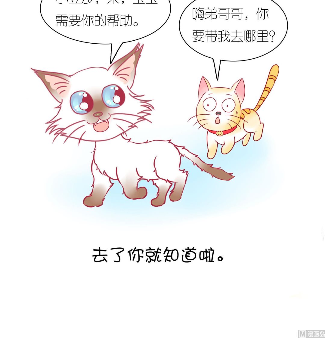 第21话 寿星喵精-第21话