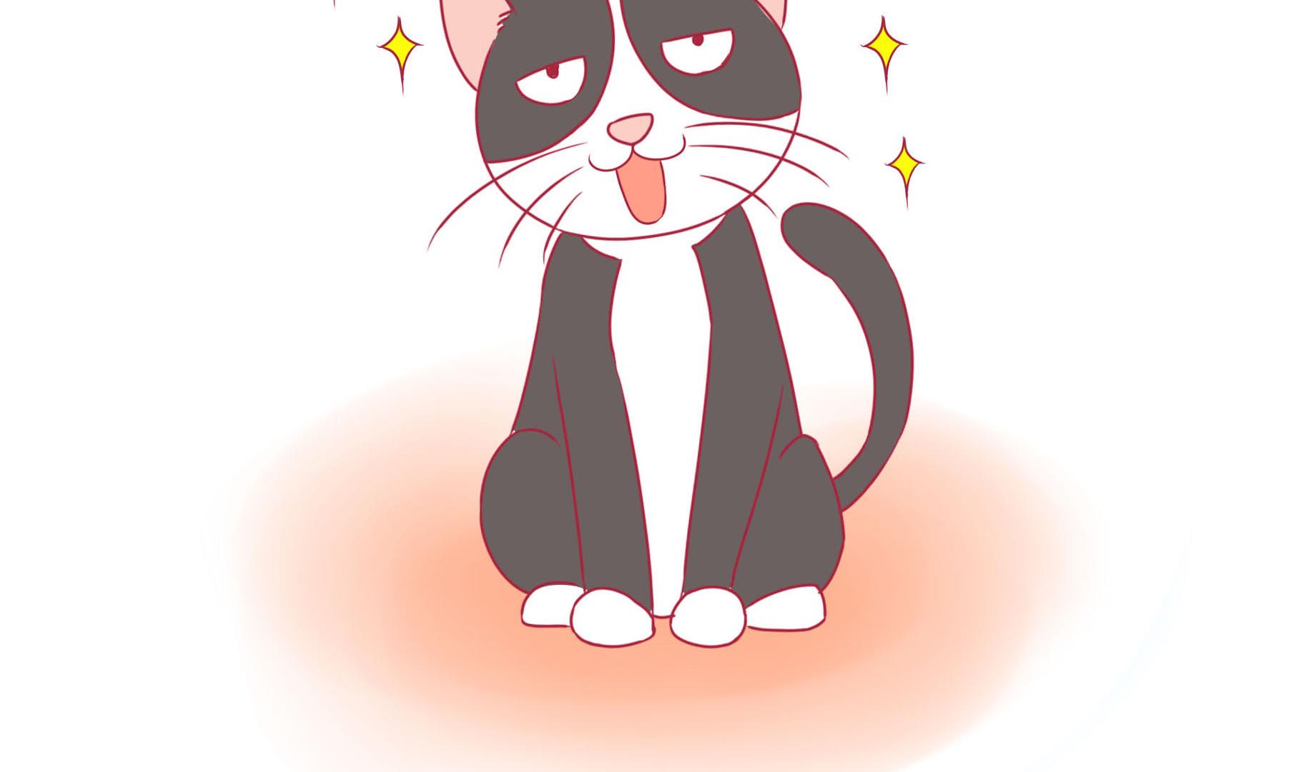 第21话 寿星喵精-第21话