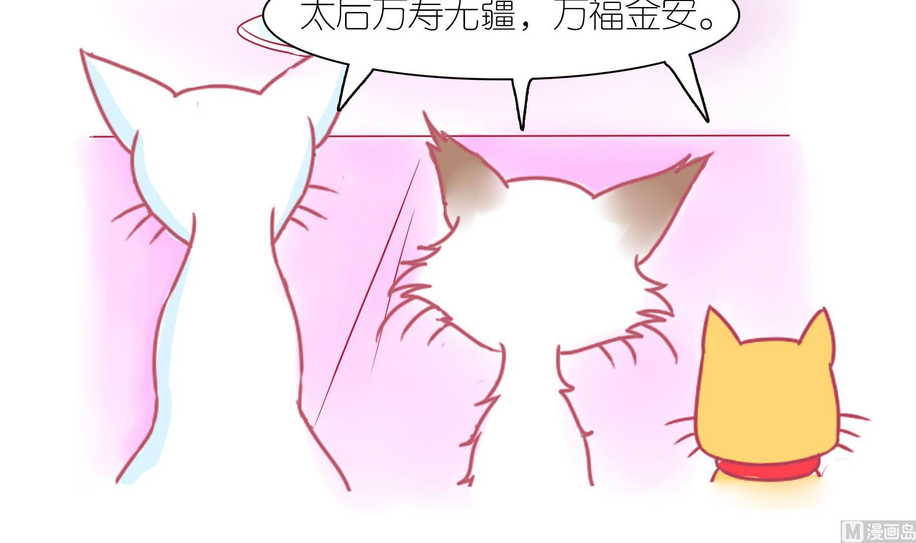 第21话 寿星喵精-第21话