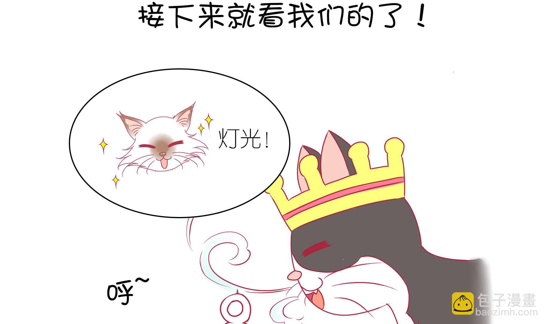 第21话 寿星喵精-第21话