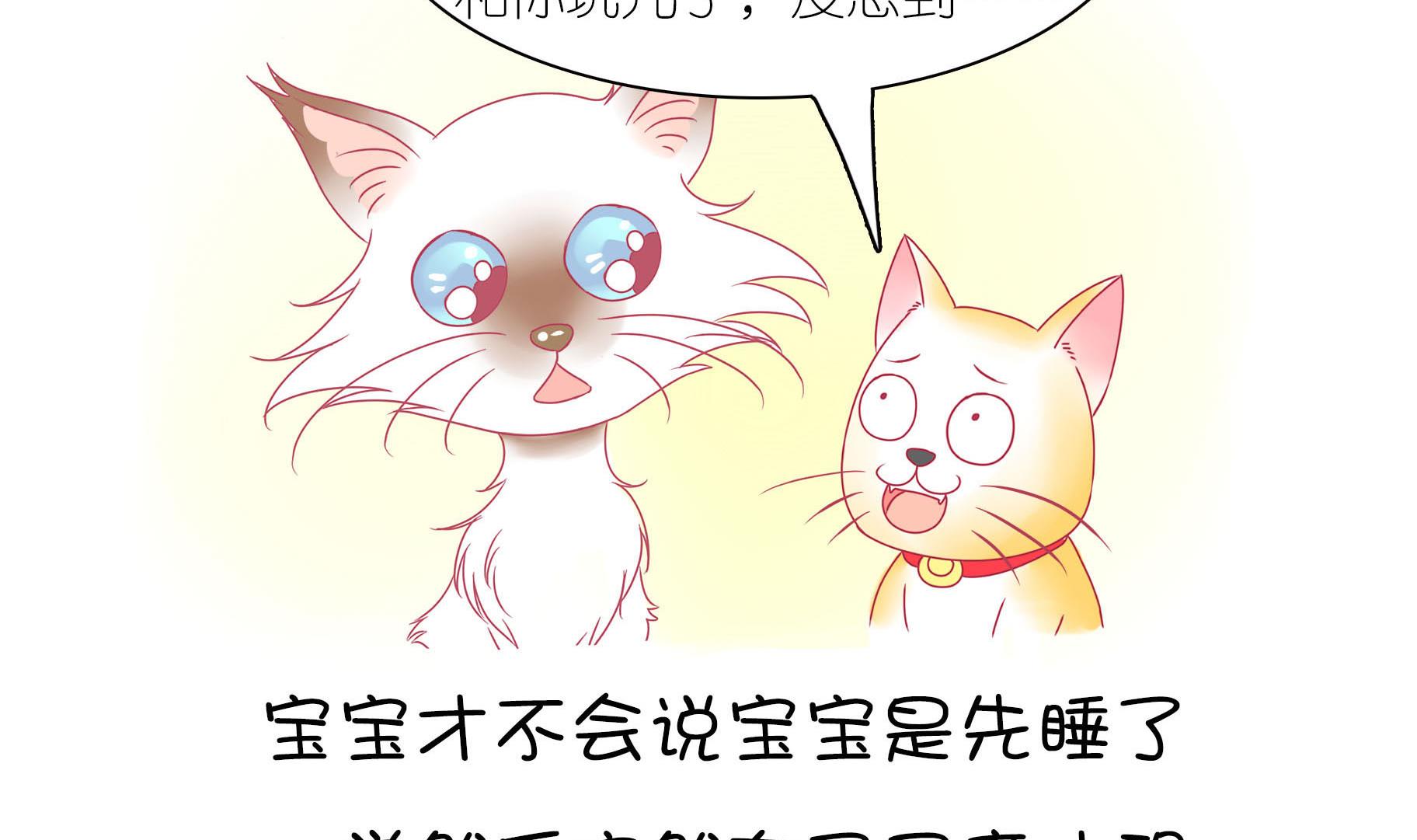 第21话 寿星喵精-第21话