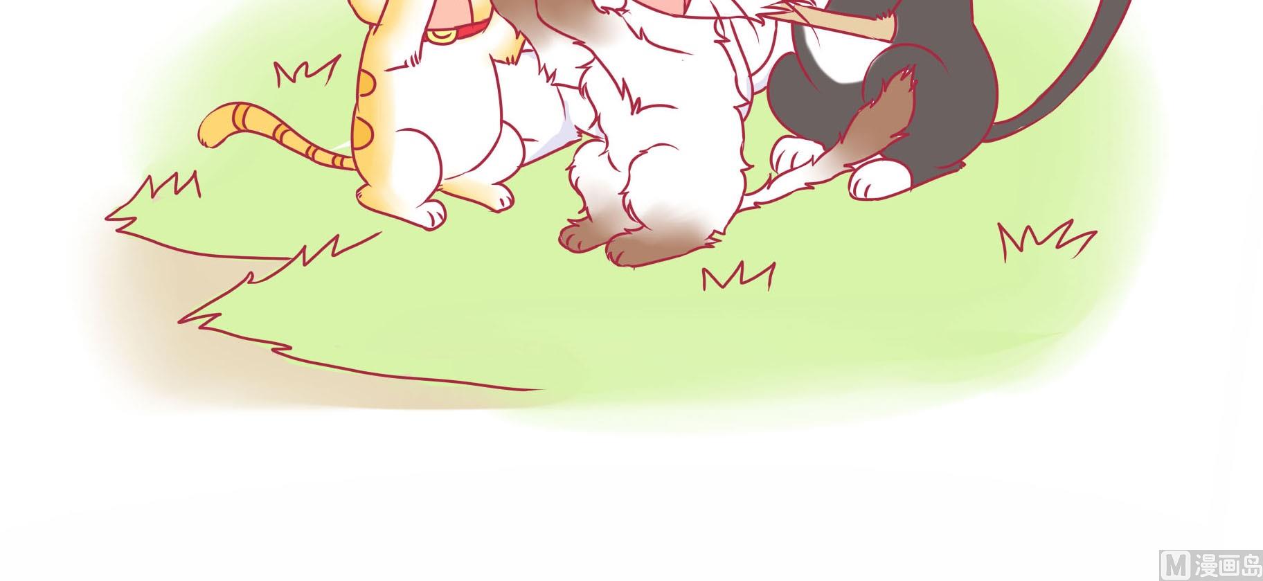 第25话 愉快的春游 2-第25话