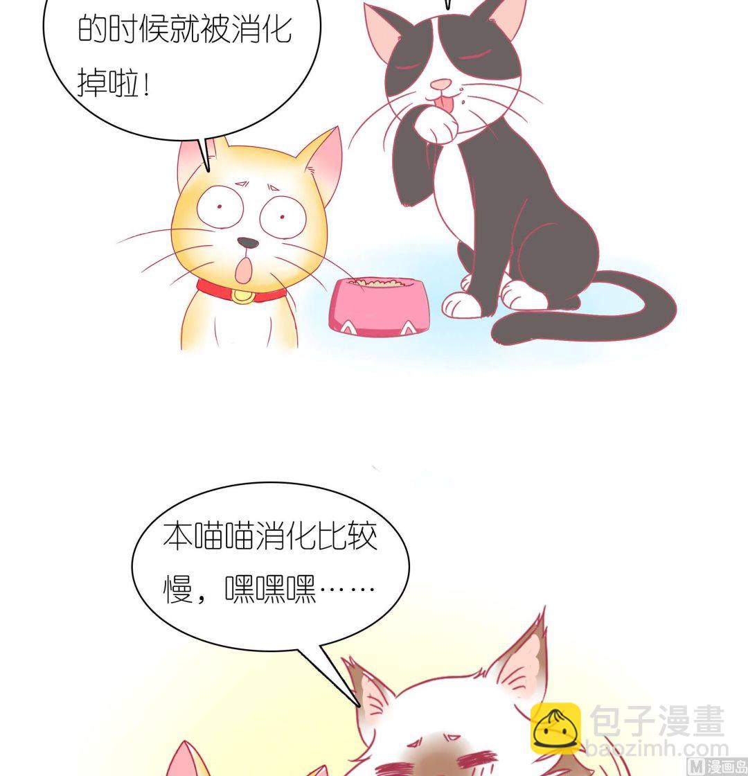 第27话 豆沙购物游-第27话