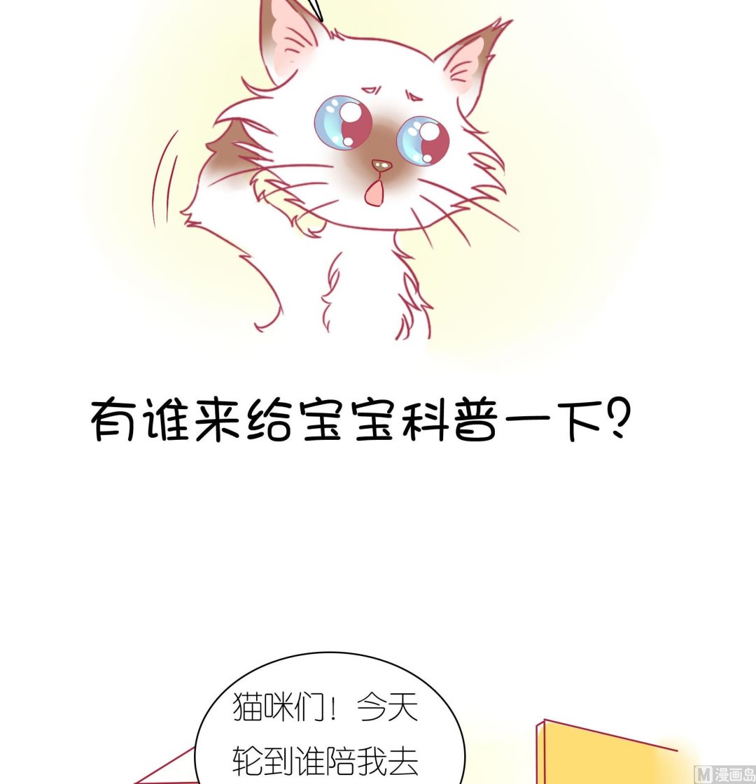 第27话 豆沙购物游-第27话