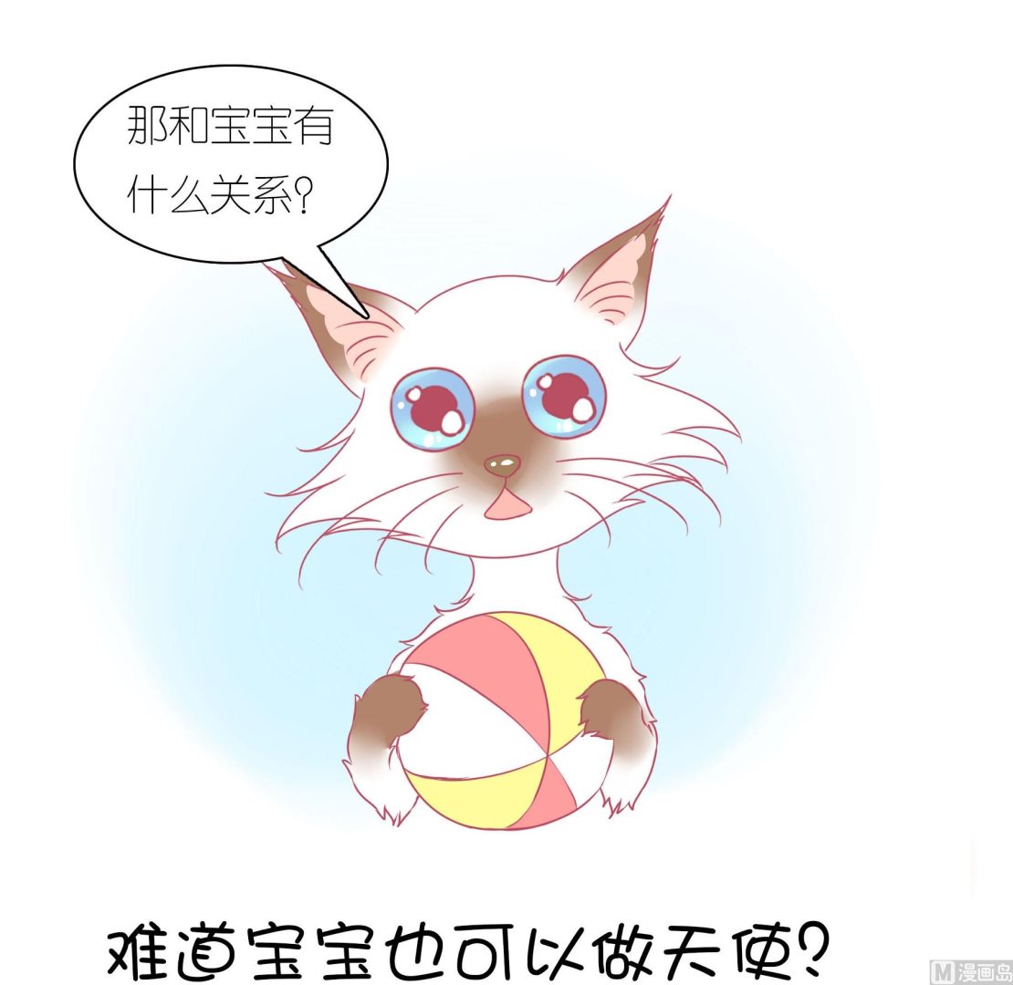 第29话 喵星天使-第29话