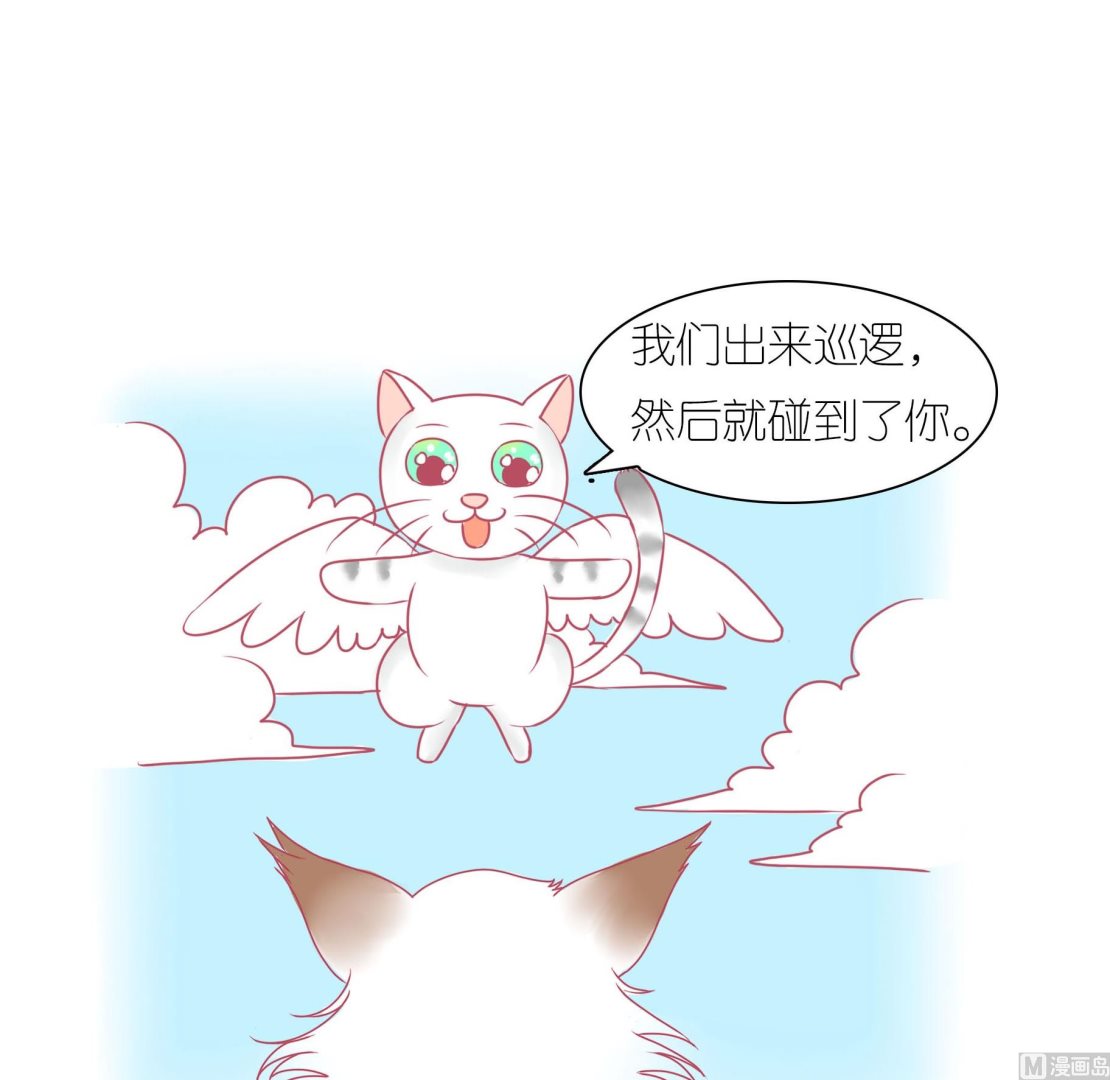 第29话 喵星天使-第29话