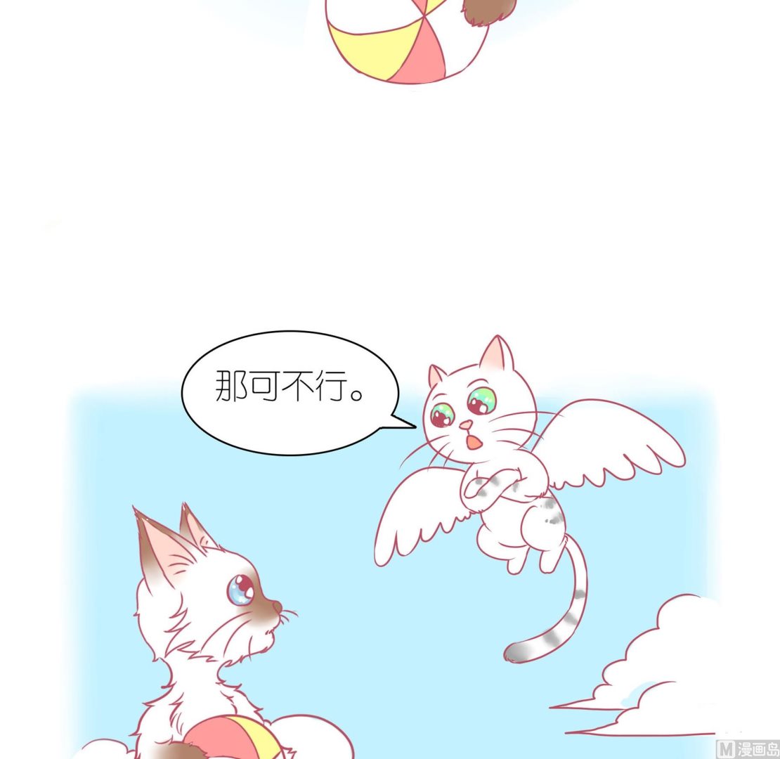 第29话 喵星天使-第29话