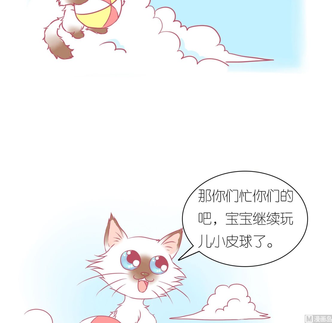 第29话 喵星天使-第29话