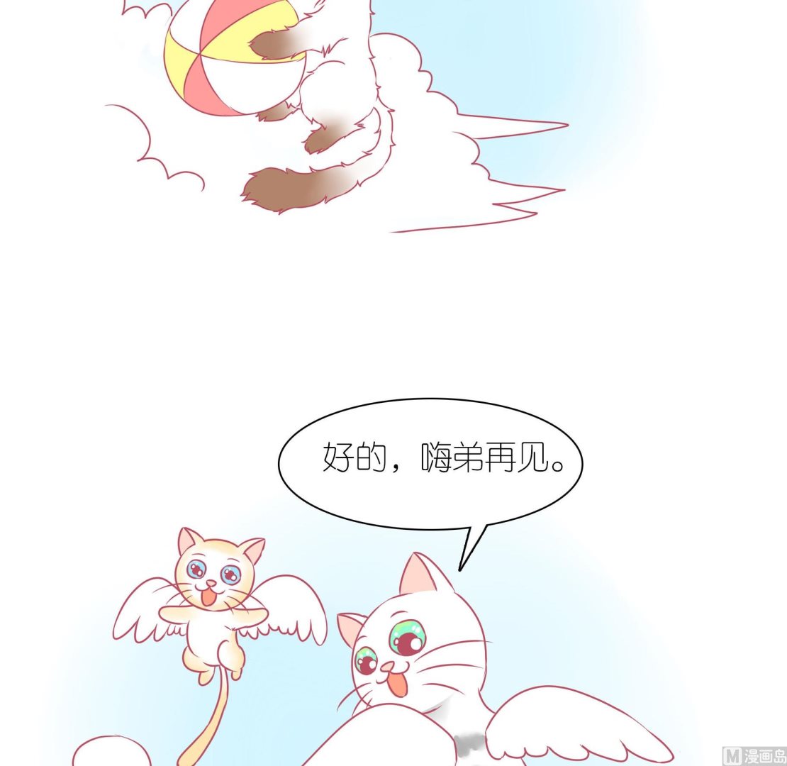 第29话 喵星天使-第29话