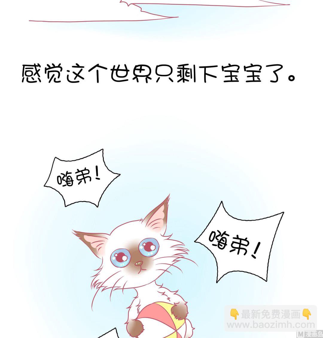 第29话 喵星天使-第29话
