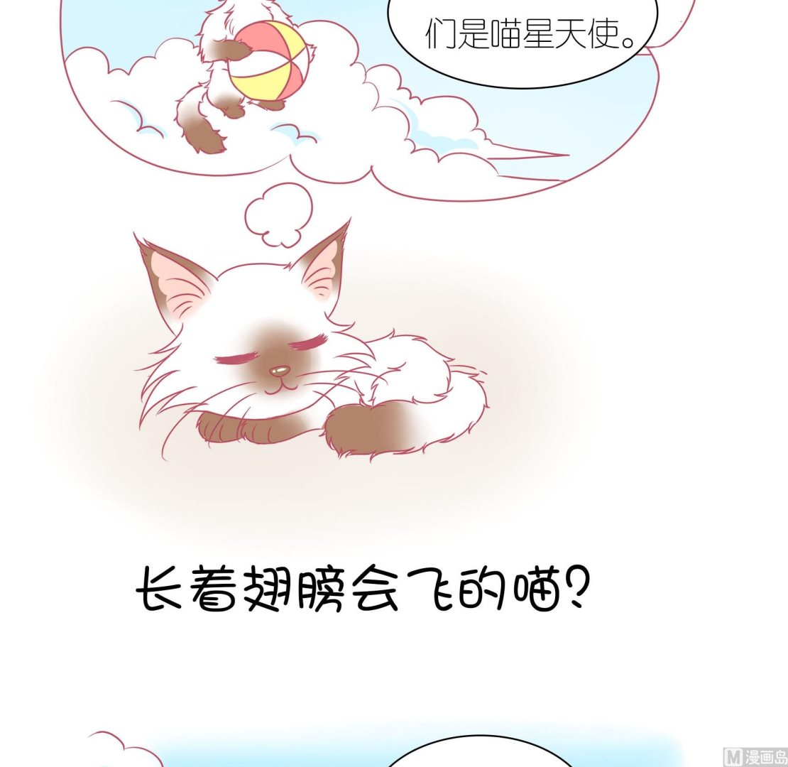 第29话 喵星天使-第29话