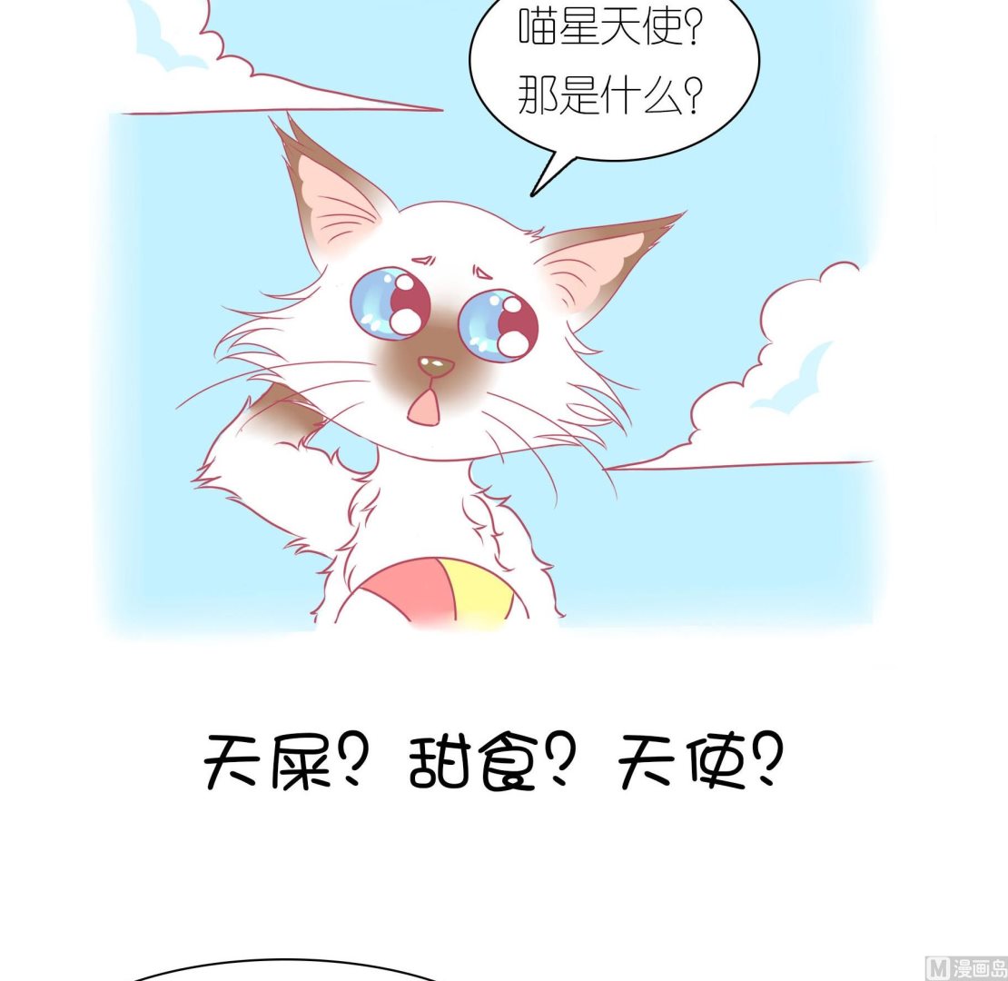 第29话 喵星天使-第29话