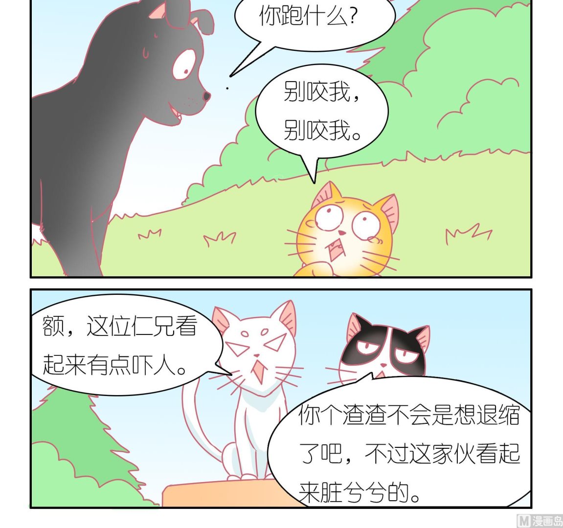 第41话 寻找伙伴 1-第41话