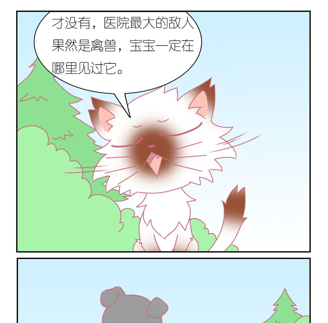 第41话 寻找伙伴 1-第41话