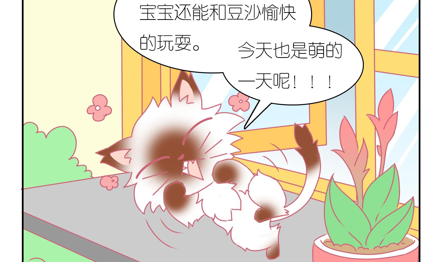 第41话 寻找伙伴 1-第41话