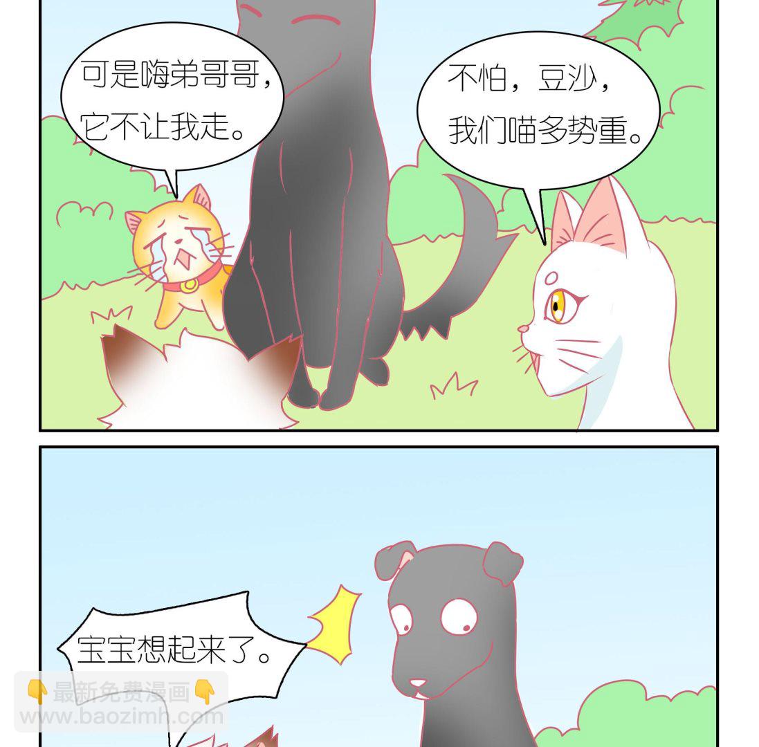 第41话 寻找伙伴 1-第41话