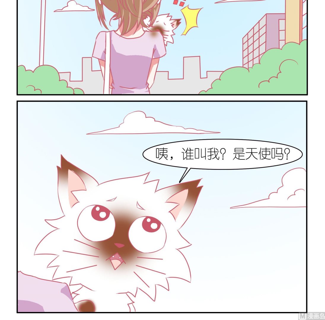 第45话 喵星天使 1-第45话