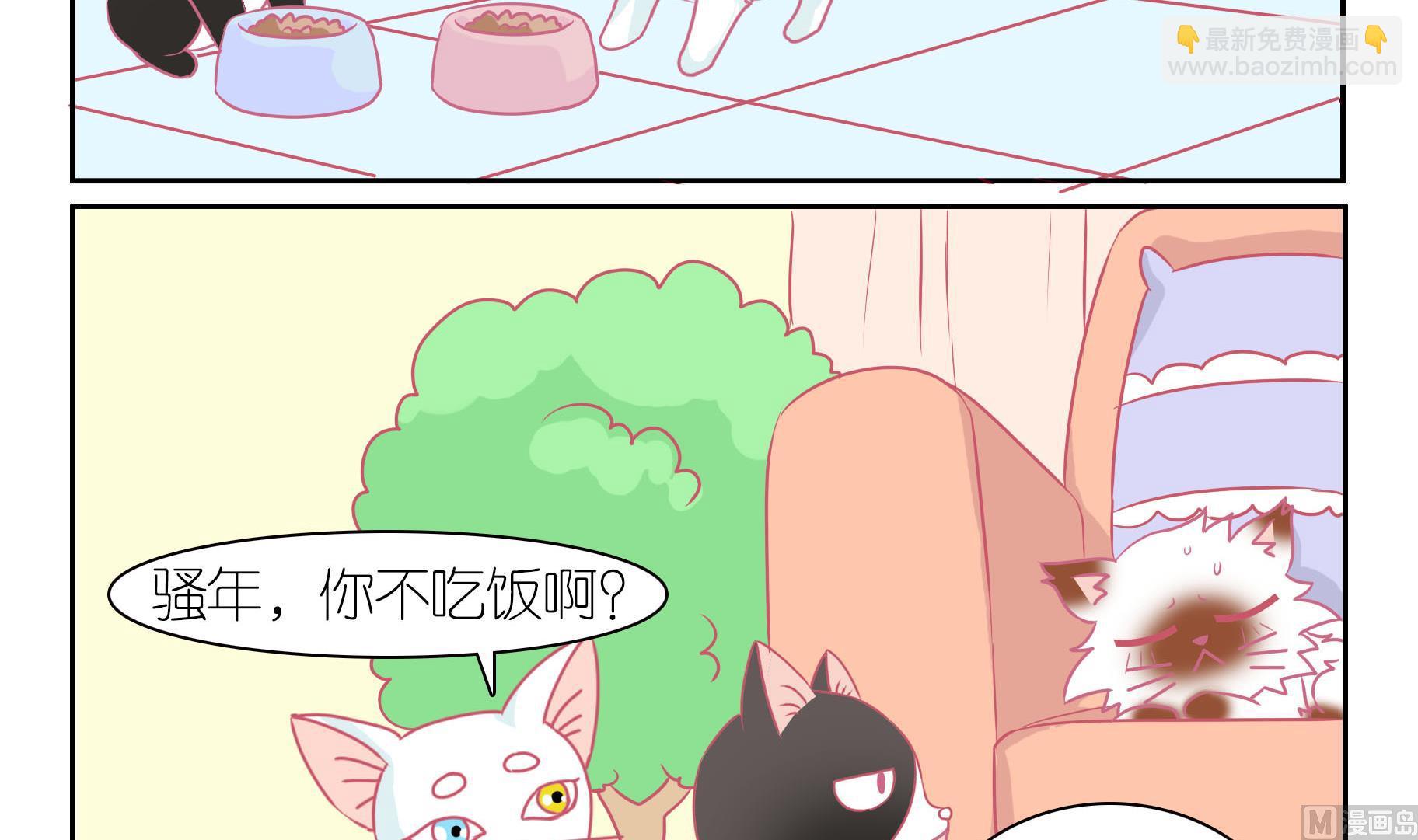 第45话 喵星天使 1-第45话