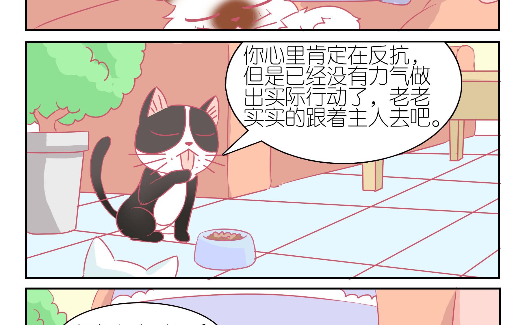 第45话 喵星天使 1-第45话