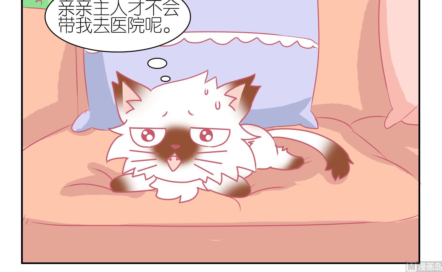 第45话 喵星天使 1-第45话