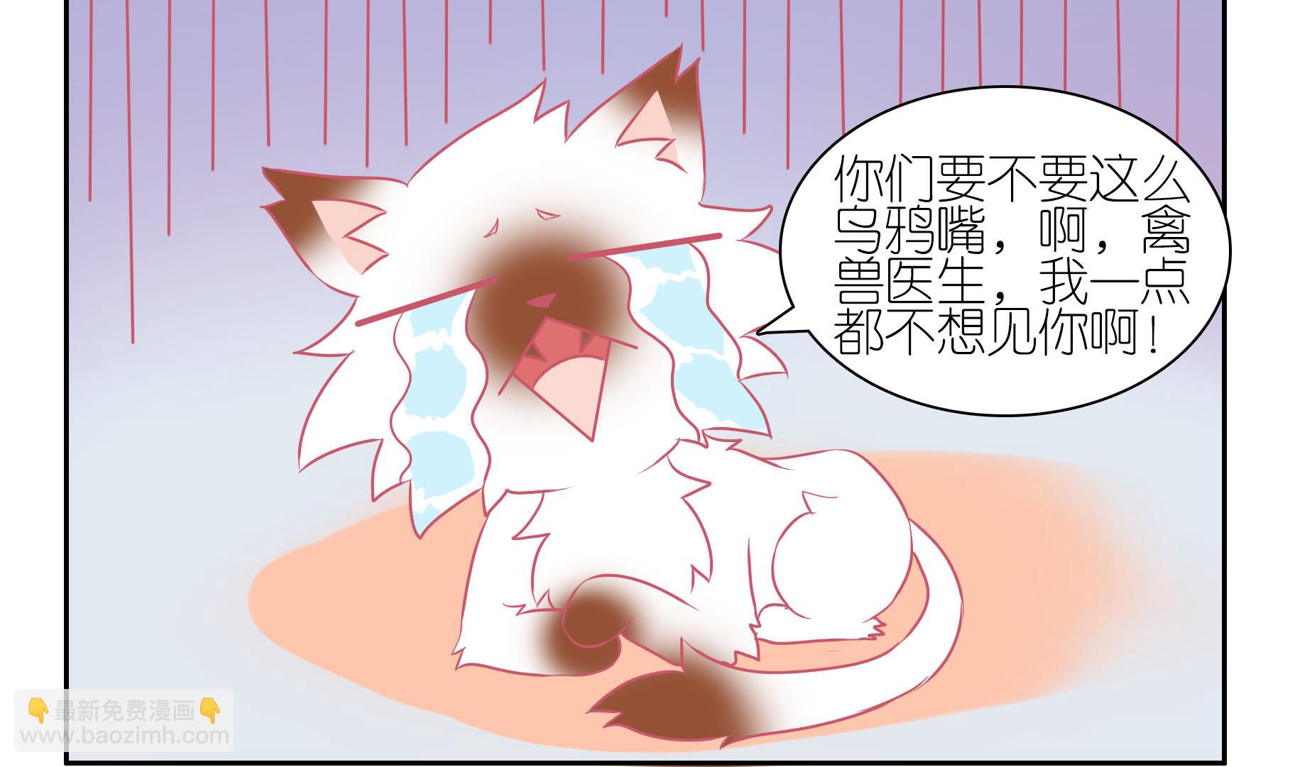 第45话 喵星天使 1-第45话