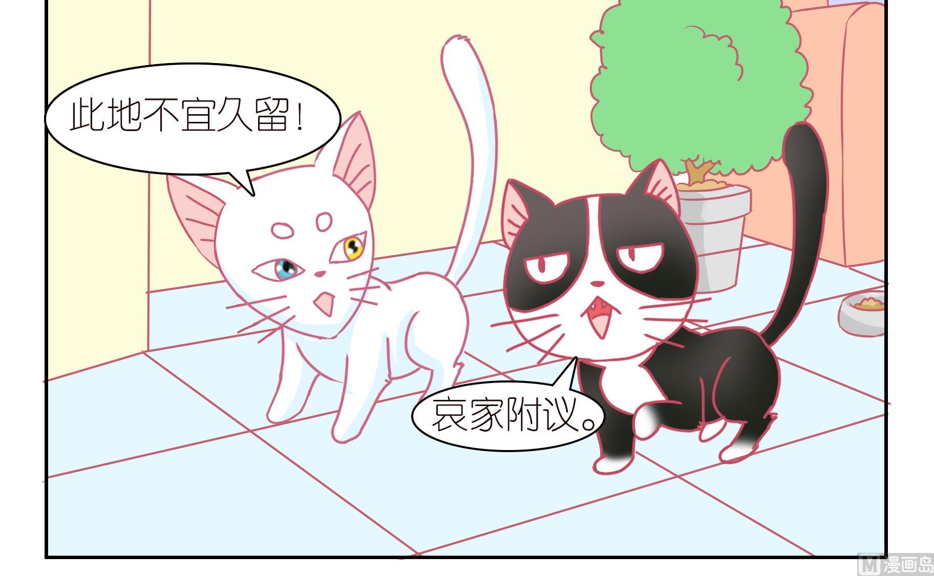 第47话 喵星天使 3-第47话