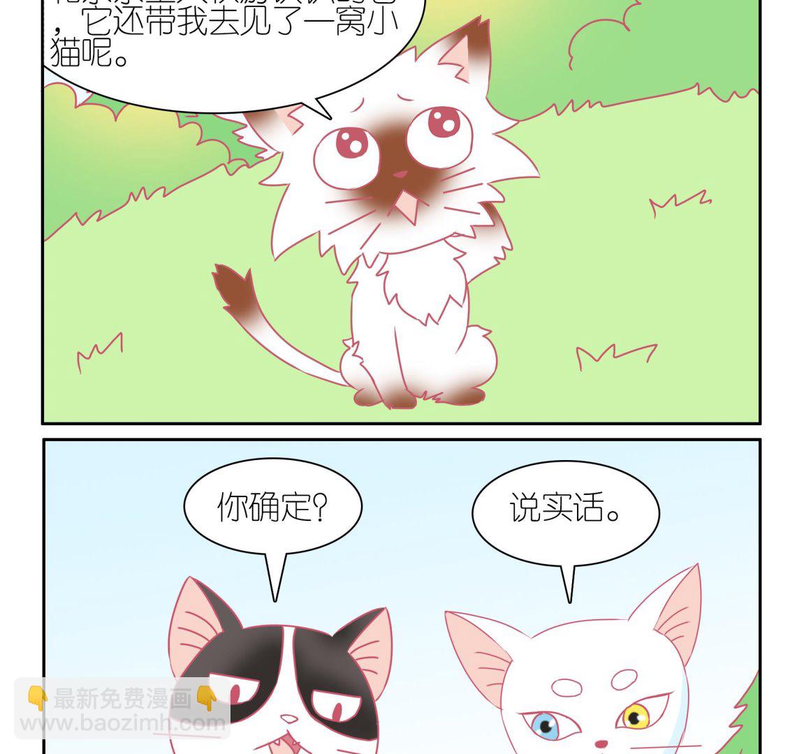 第49话 助喵能手 2-第49话