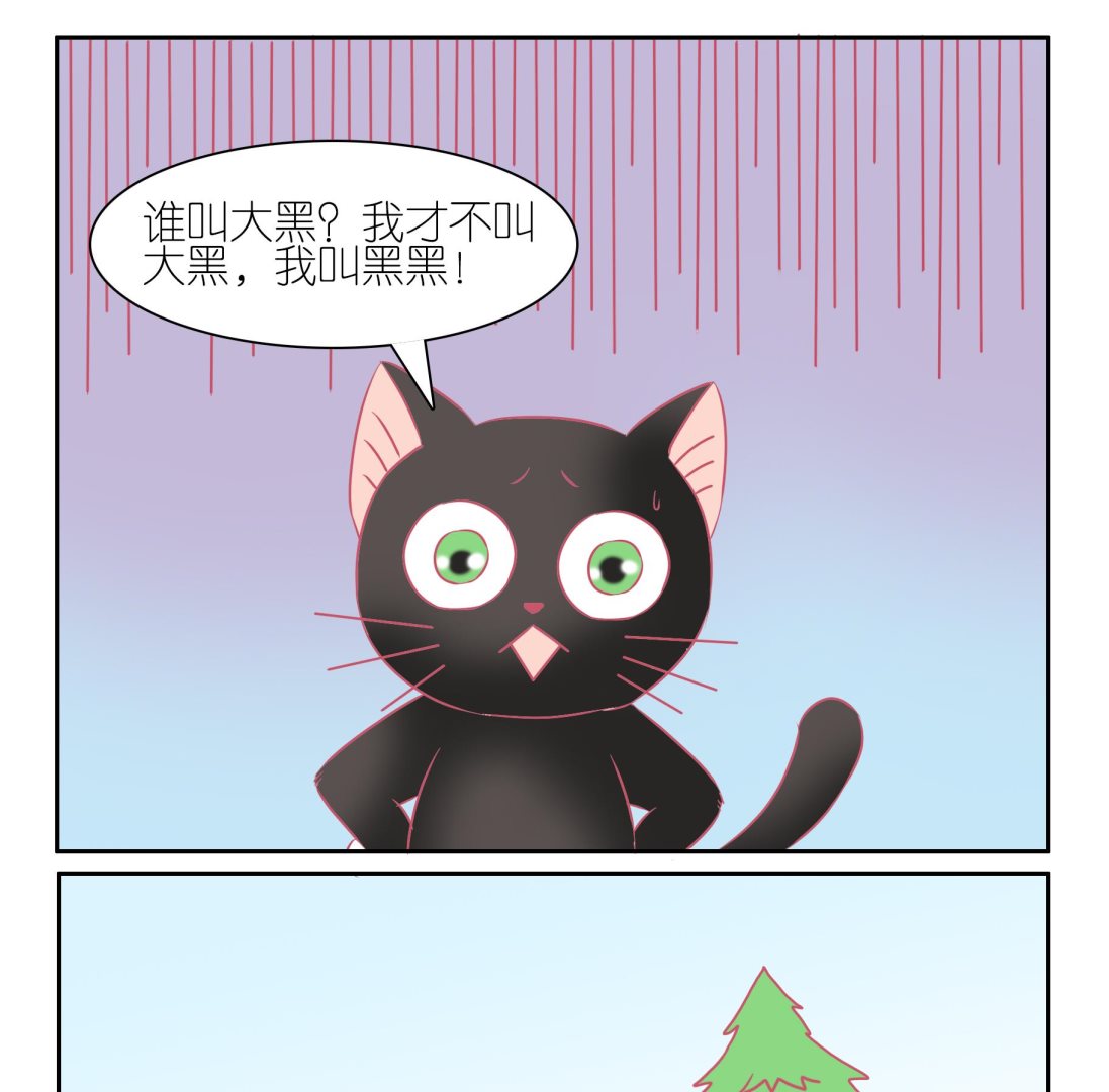 第49话 助喵能手 2-第49话