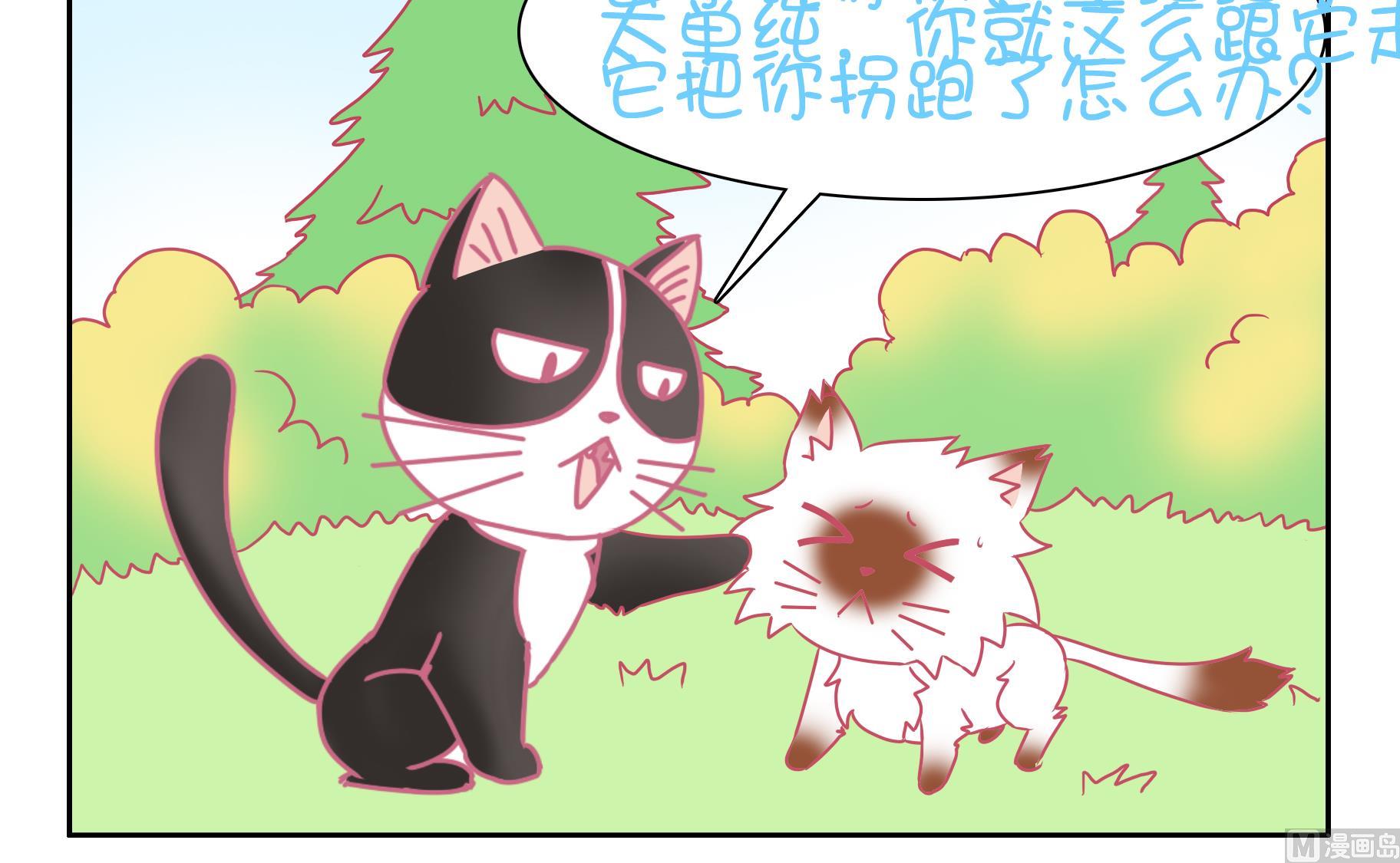 第49话 助喵能手 2-第49话