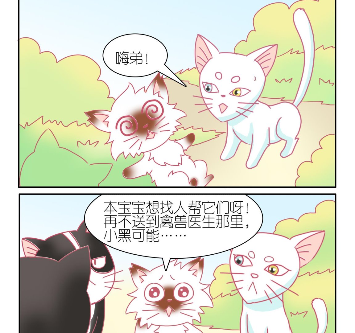 第51话 助喵能手 4-第51话