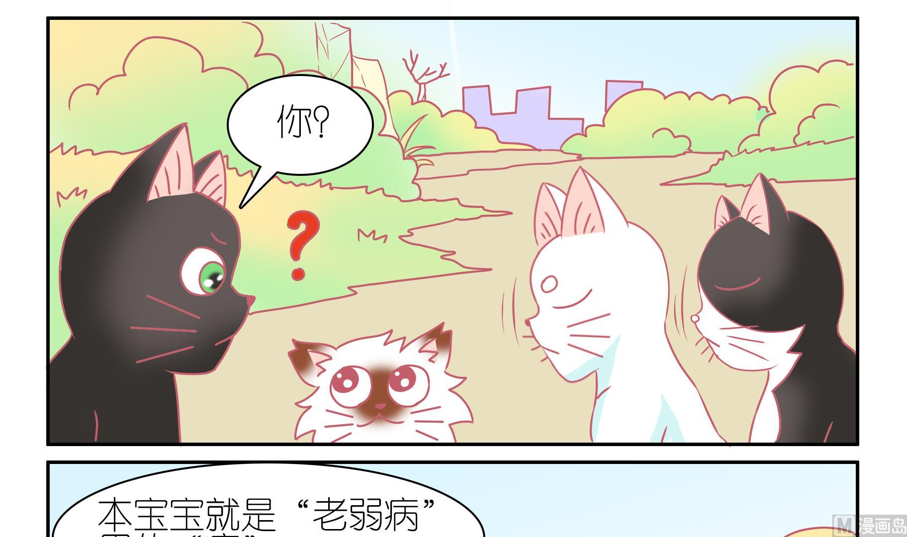 第51话 助喵能手 4-第51话