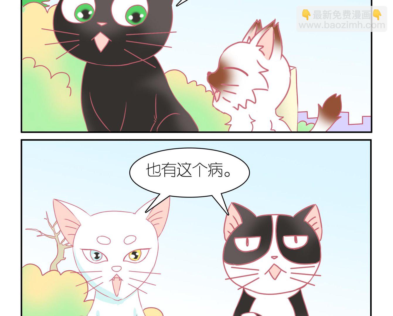 第51话 助喵能手 4-第51话