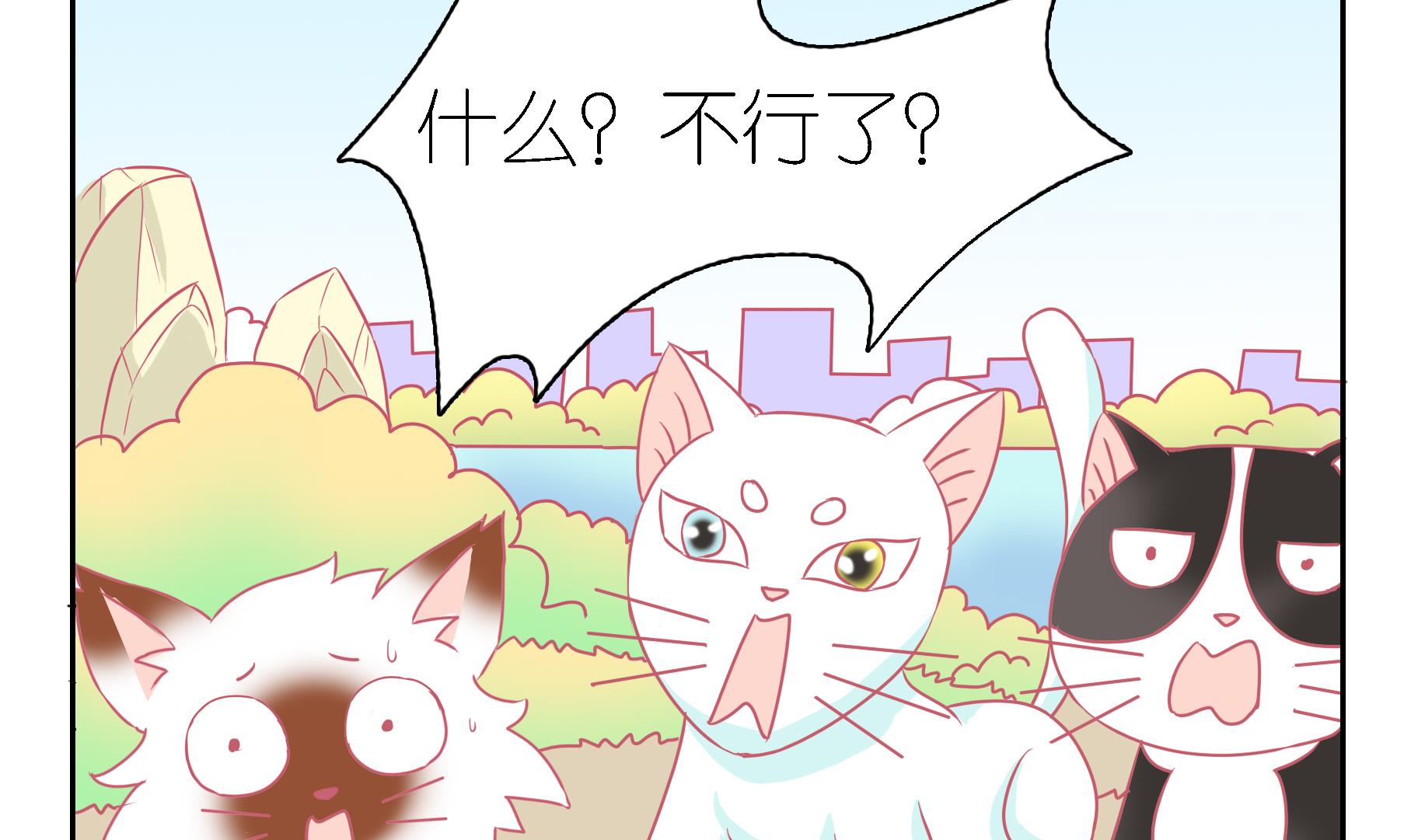 第51话 助喵能手 4-第51话