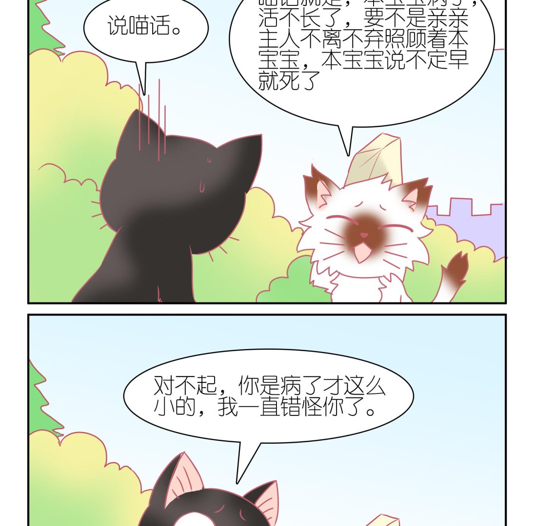 第51话 助喵能手 4-第51话